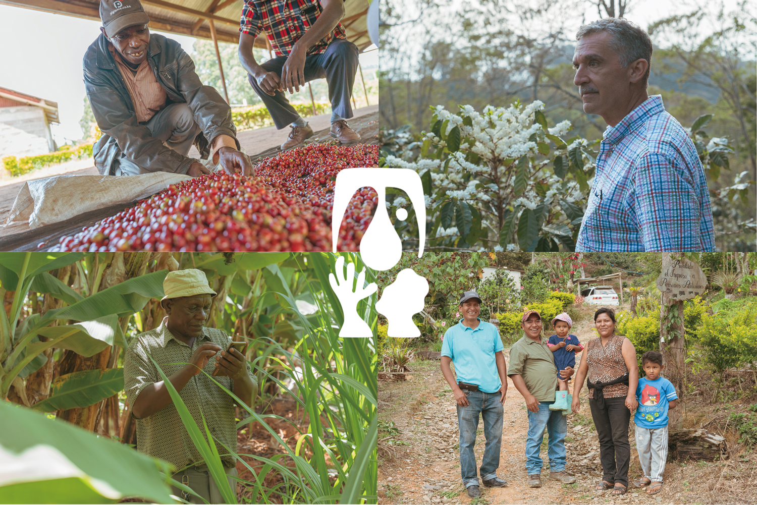 TYPICA（ティピカ）と住商フーズが共働開始。小規模コーヒー生産者のニュークロップ流通を一部保証しSDGsに貢献。のサブ画像2_ケニア、エルサルバドル、ボリビアなどの小規模コーヒー生産者達