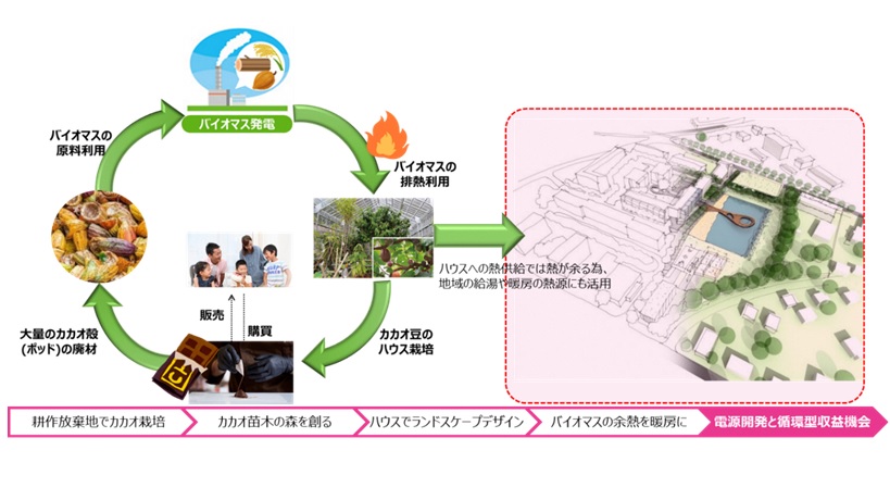 フェリシモ×東京大学×加賀市×株式会社DK-Power　カカオの森づくりを通した循環型社会づくりの貢献を目指し共同研究契約を締結のサブ画像1_カカオの森づくりを通した循環型社会づくりのイメージ