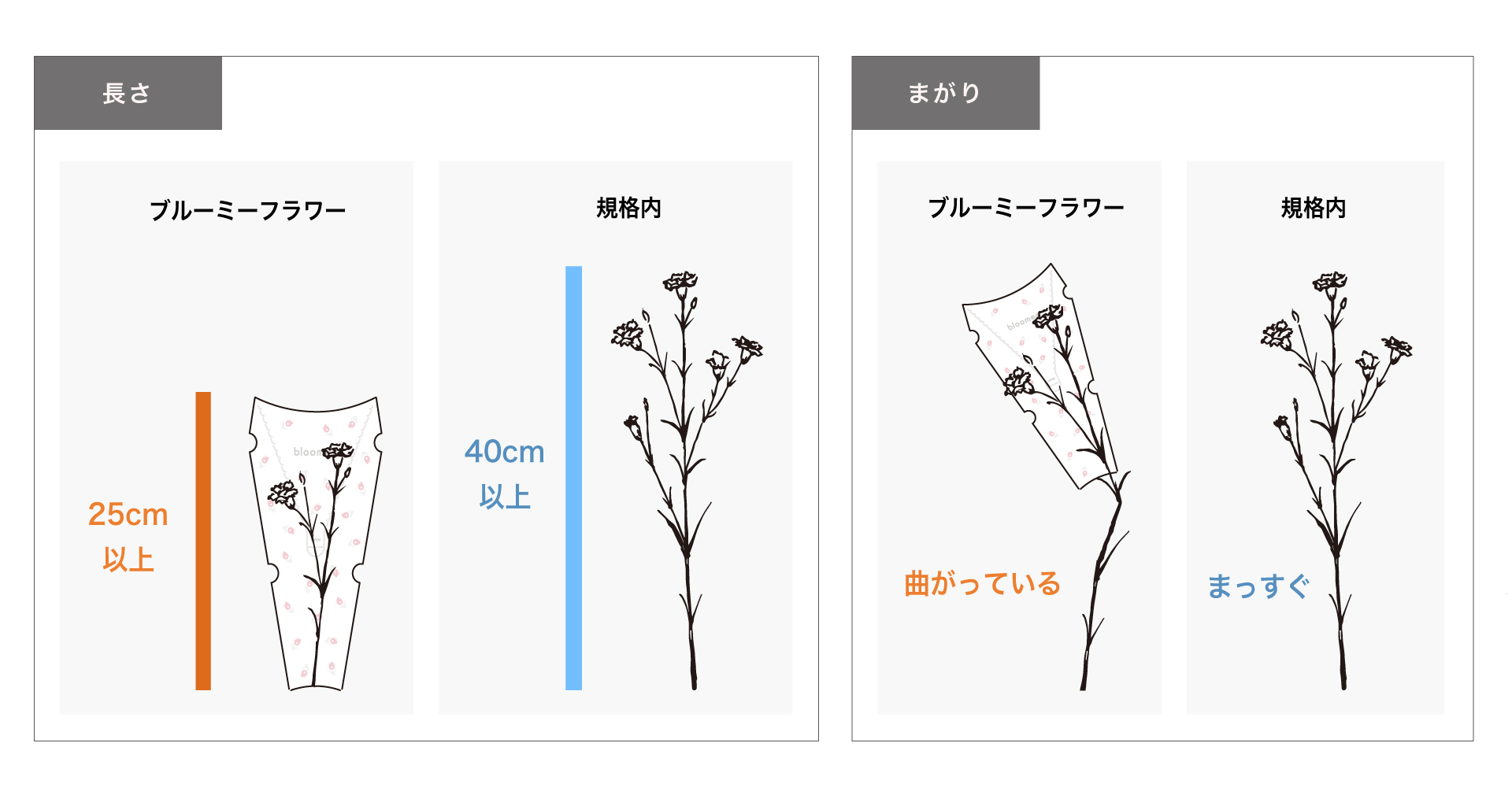 花の定期便ブルーミー、日本最大の花市場の大田花きと連携強化、「規格外」の花買い取り本格化のサブ画像3