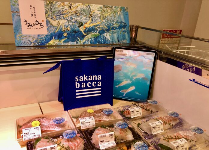 ウミトロン、フーディソンと協業し、「うみとさち(日本初ASC認証取得真鯛)」を販売開始。魚屋「sakana bacca」で、リモート餌やりイベントを開催のメイン画像