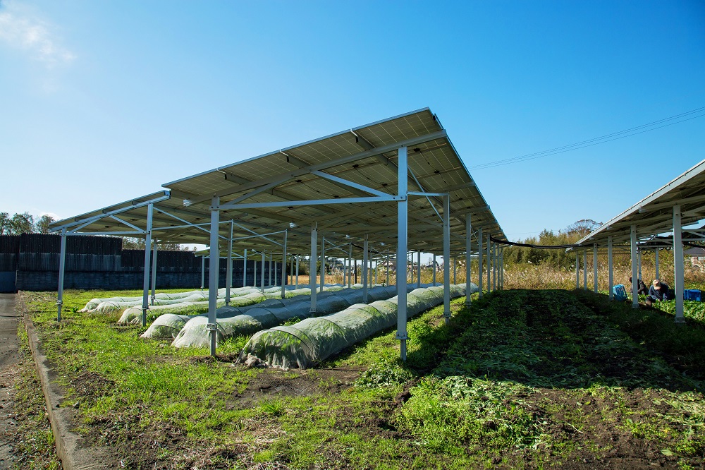 【JALマイレージ提携のお知らせ】スマホで買える太陽光発電所CHANGE（チェンジ）のサブ画像2_千葉県睦沢町のソーラーシェアリング農場