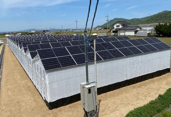 みんな電力、再エネ発電事業に参入！岡山で自社ソーラーシェアリング発電所を稼働のメイン画像