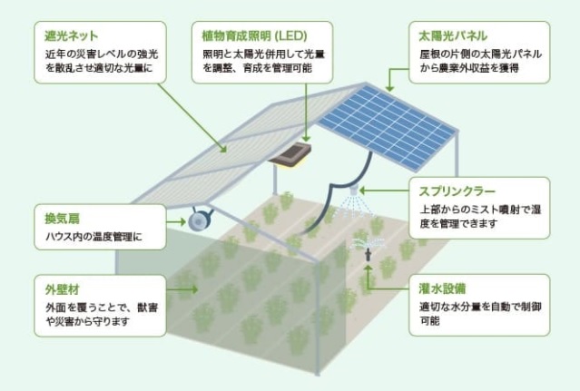 みんな電力、再エネ発電事業に参入！岡山で自社ソーラーシェアリング発電所を稼働のサブ画像5