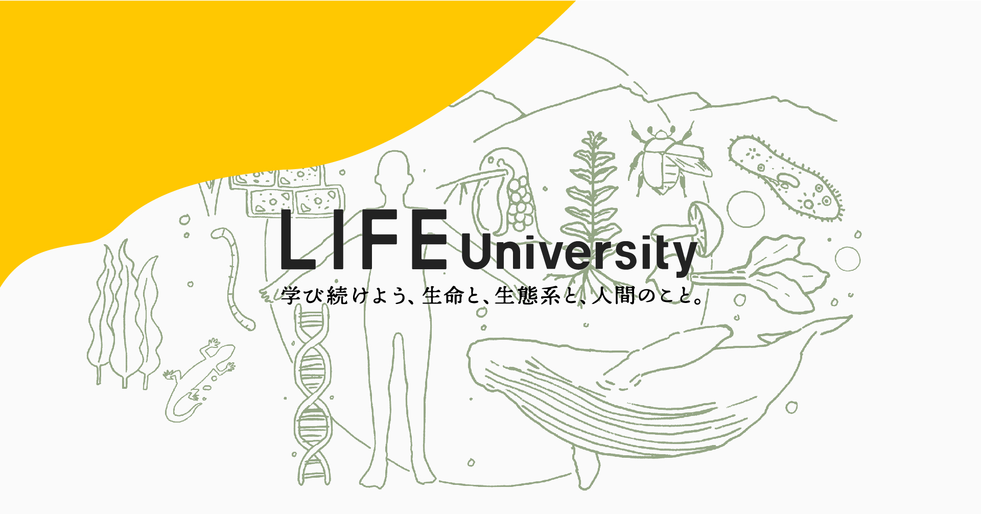 自然科学や生命科学をベースに、これからの社会をデザインするイノベーション・スクール「LIFE University」開講！のサブ画像1