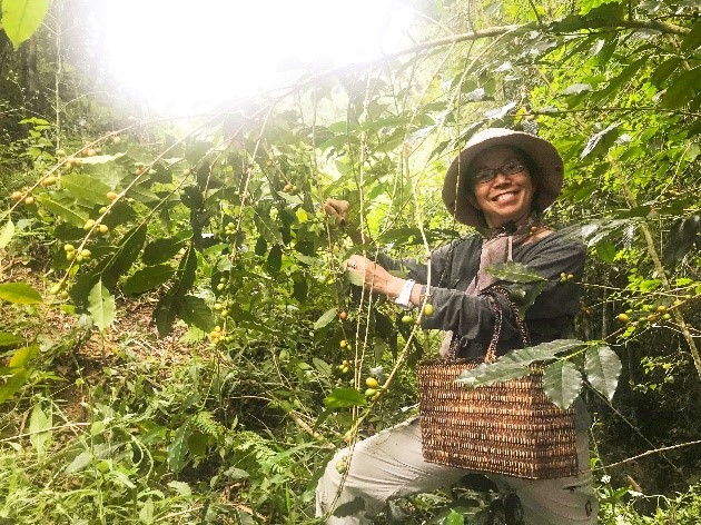 フィリピンの農家と災害に強い森を支える〜フェアトレードコーヒー産地へのクラウドファンディング　７/16始動〜のサブ画像3