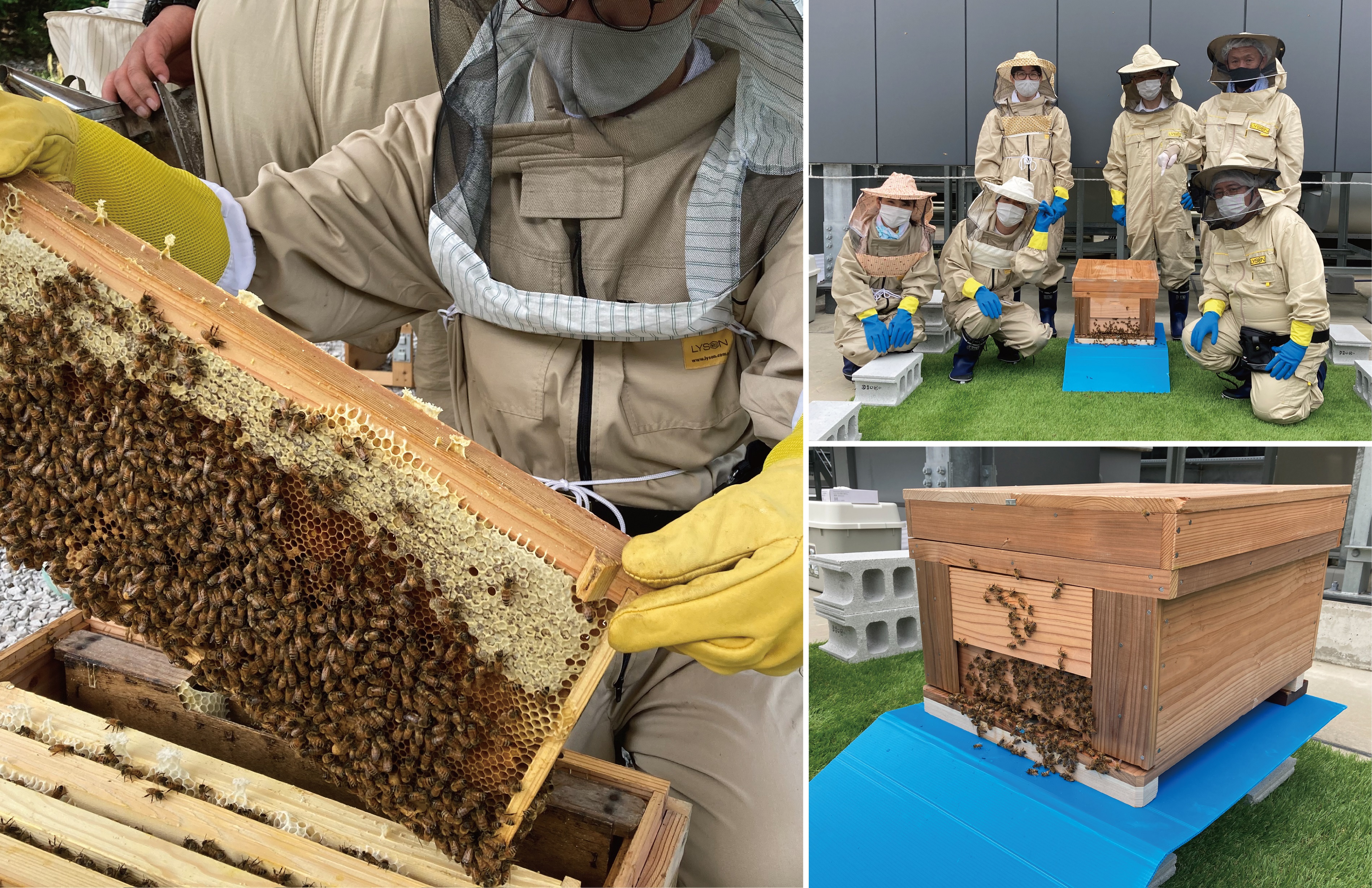 【京阪ホテルズ＆リゾーツ株式会社】都市養蜂プロジェクトを始動！のサブ画像1