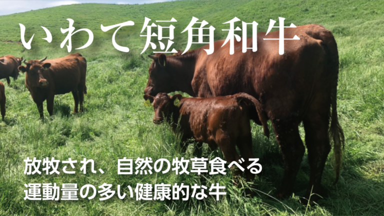 【食のサステナビリティ】コロナにより打撃を受ける伝統和牛「いわて山形村短角牛」​の生産者支援　Makauakeで限定販売のメイン画像