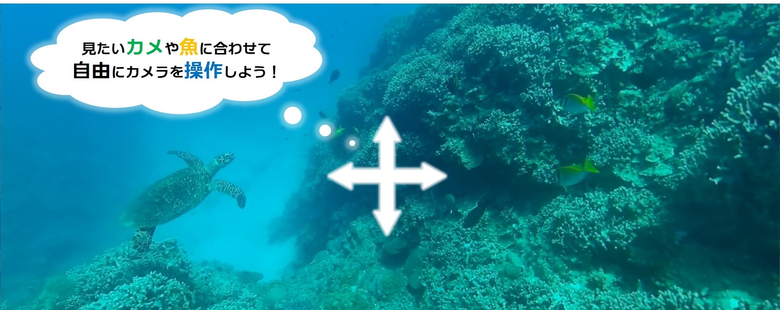 水中ドローン×海洋 VR「Virtual Ocean Project」 院内学級向けにオンラインで海の学び授業を開催のサブ画像2_※水中映像は声により任意の方向を体験可能