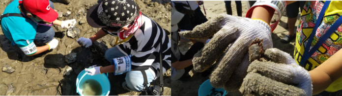 広島の小学生（5年生、6年生）24名が参加！　広島県竹原市で海の体験イベント「瀬戸内こども調査団～海の宝、『ハチの干潟』に学ぶ」を開催しました！のメイン画像