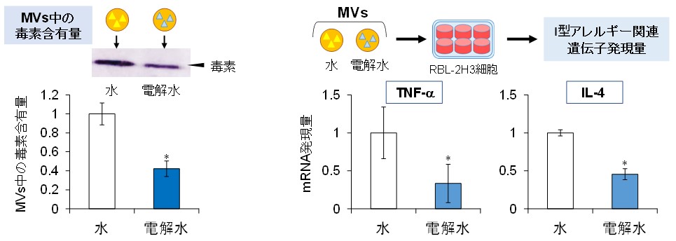 森永乳業「微酸性電解水（次亜塩素酸水）研究補助」研究テーマ黄色ブドウ球菌由来膜小胞が誘導する炎症・アレルギー反応に対する微酸性電解水の作用のサブ画像2