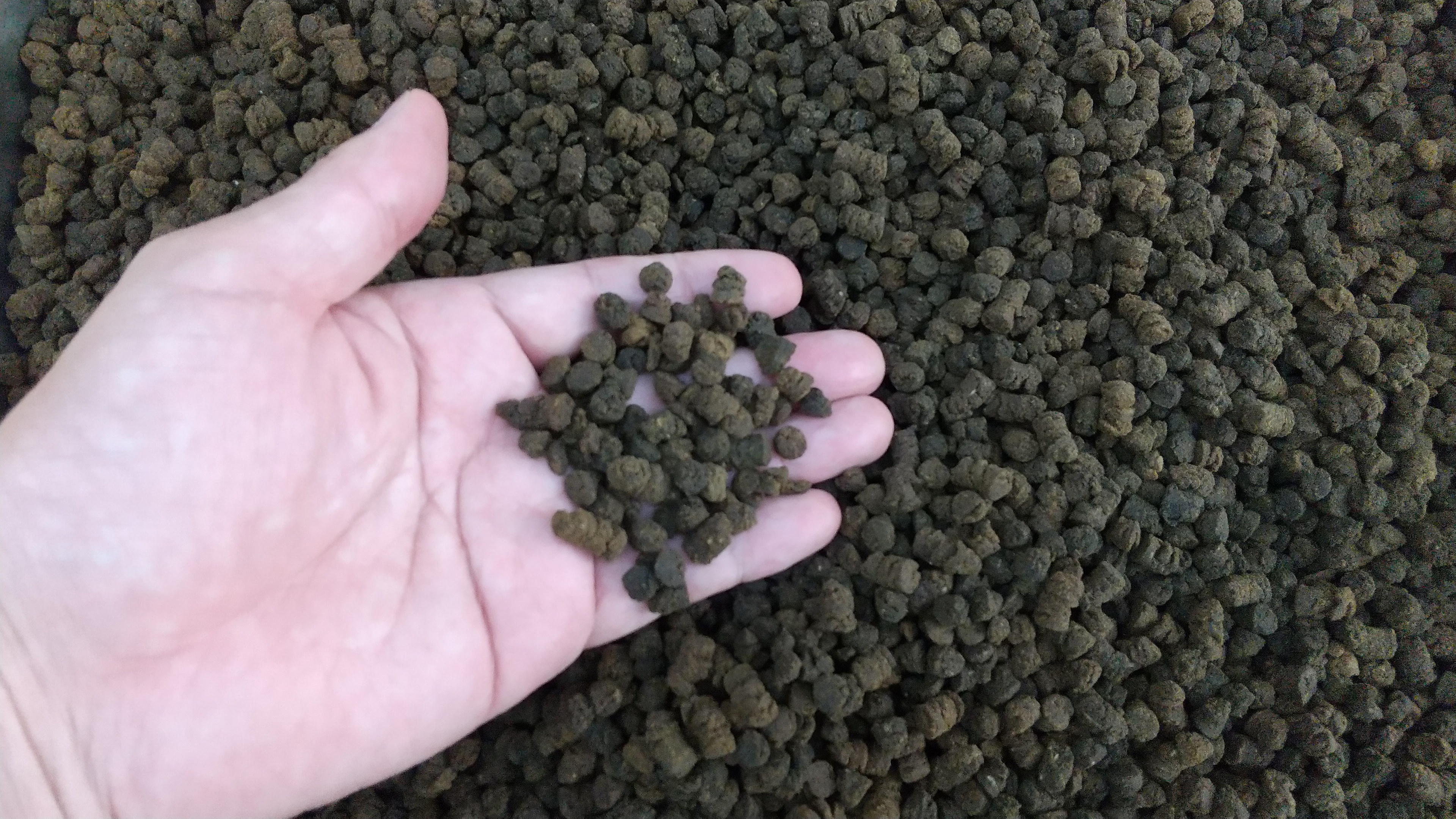 三重県多気町の未利用資源と微細藻類による飼料を給餌した「多気サステナブルサーモン」を開発のサブ画像3_多気ブランド飼料