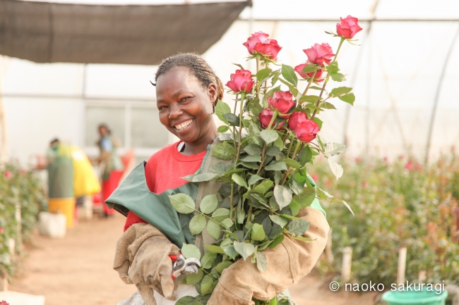 世界最高品質のバラを扱うアフリカローズ、住友林業とコラボで端材の有効活用・カーボンオフセット・フェアトレードを実現のサブ画像4_ケニアのバラの農園で働く女性