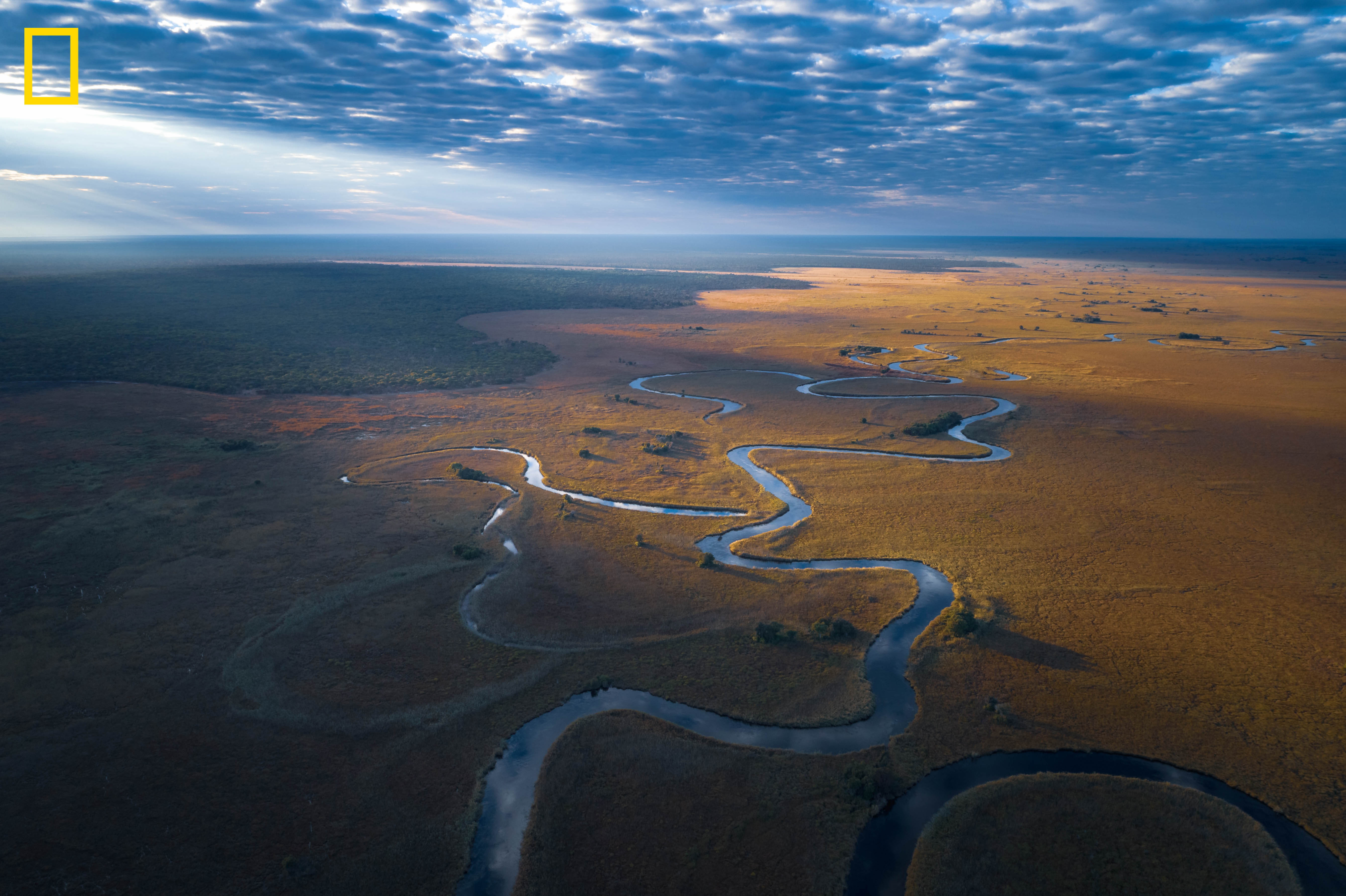 デビアスとナショナルジオグラフィック 自然の驚異を保護すべく パートナーシップを締結のサブ画像2_Photo by Kostadin Luchansky - National Geographic Okavango Wilderness Project.