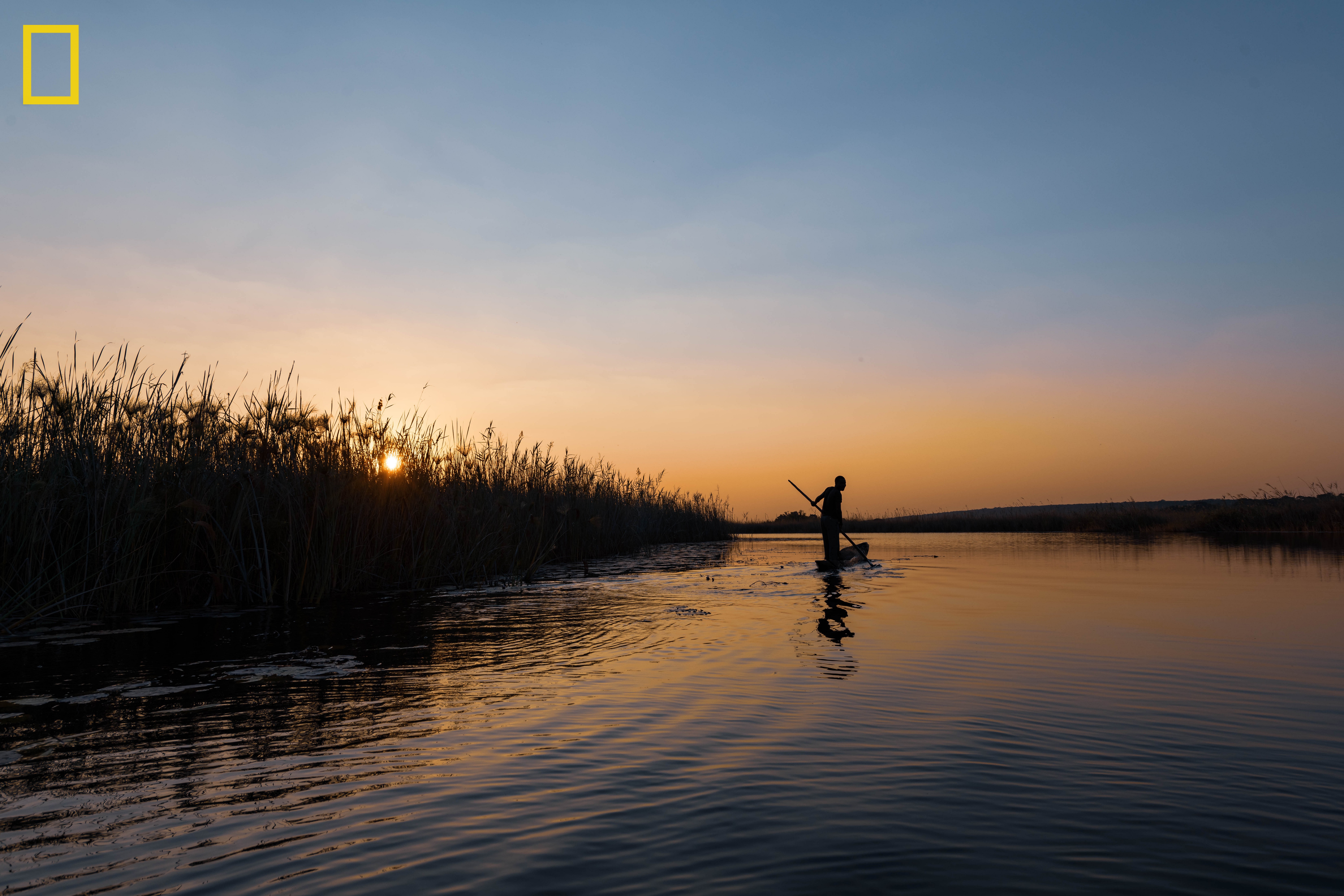 デビアスとナショナルジオグラフィック 自然の驚異を保護すべく パートナーシップを締結のサブ画像4_Photo by Kostadin Luchansky - National Geographic Okavango Wilderness Project.