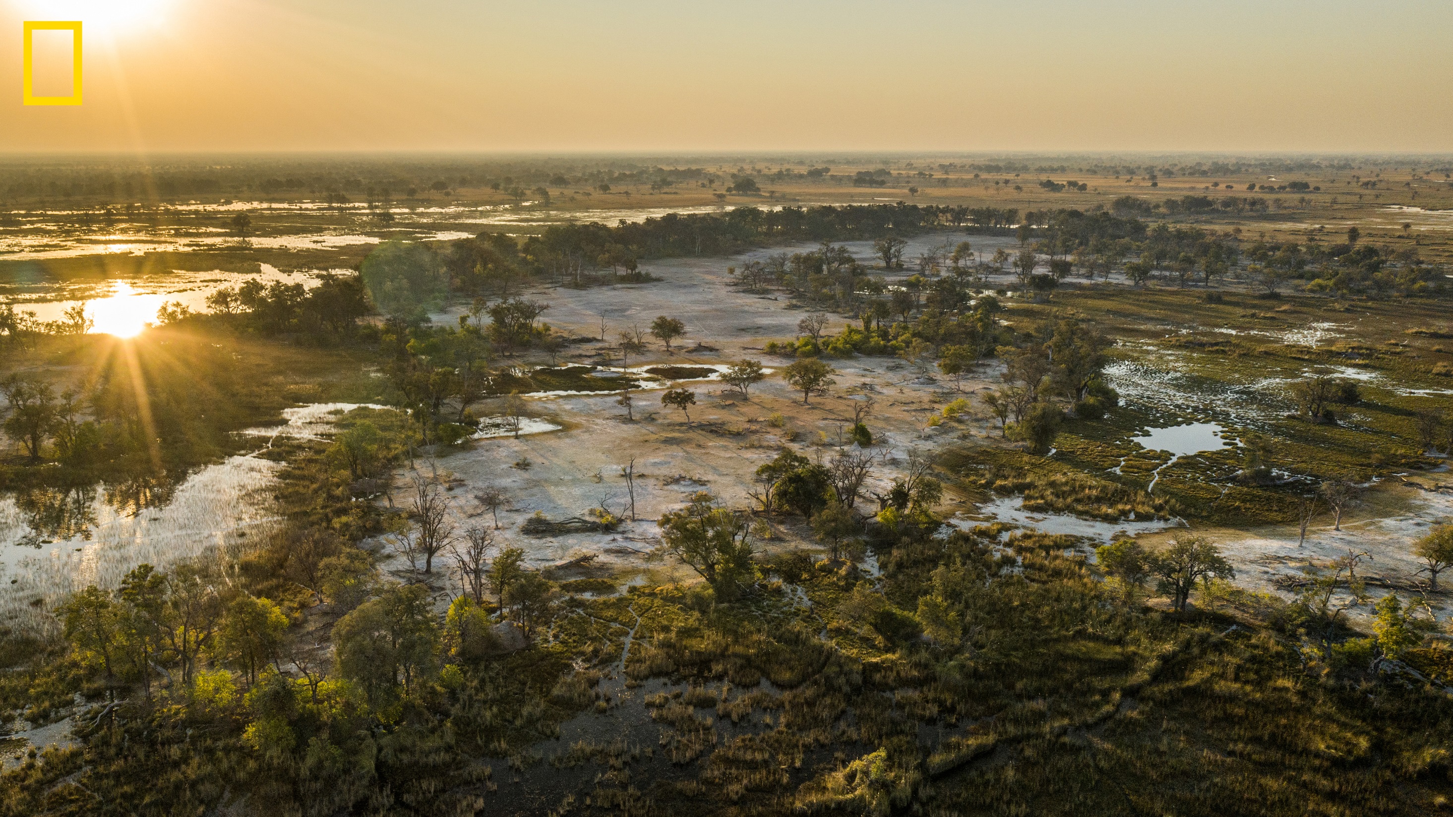 デビアスとナショナルジオグラフィック 自然の驚異を保護すべく パートナーシップを締結のサブ画像5_Photo by Chris Boyes - National Geographic Okavango Wilderness Project.