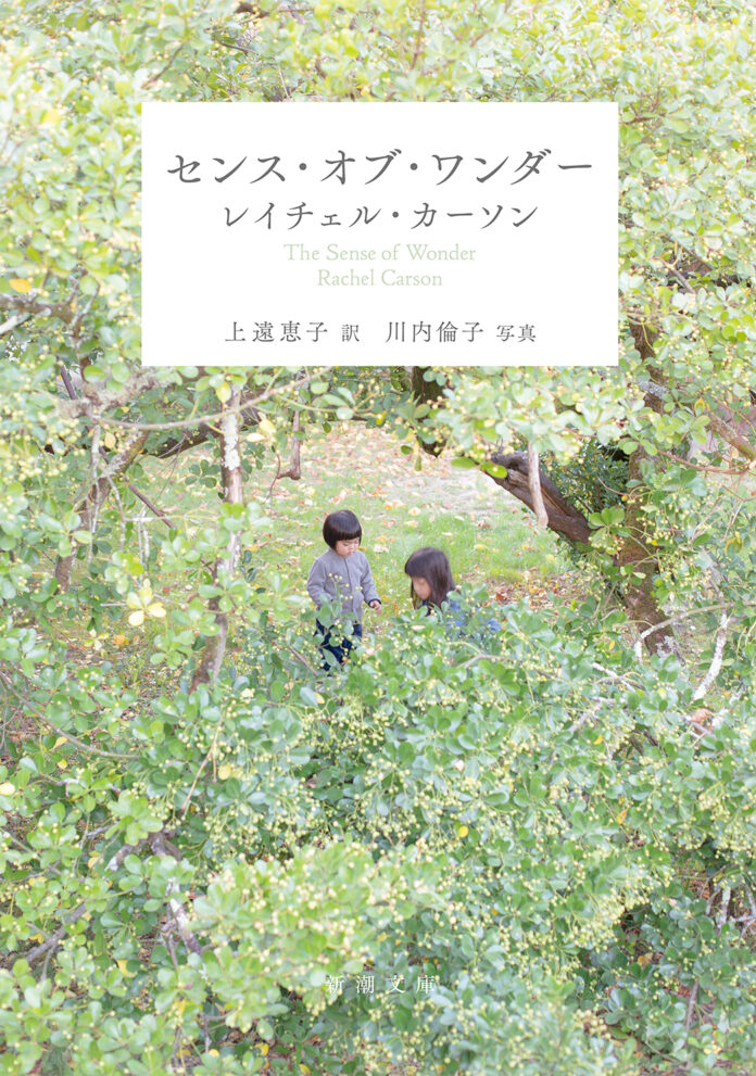 持続可能な社会を子どもたちに。環境問題の嚆矢となった『沈黙の春』の著者レイチェル・カーソンが遺した名作『センス・オブ・ワンダー』待望の文庫化のメイン画像