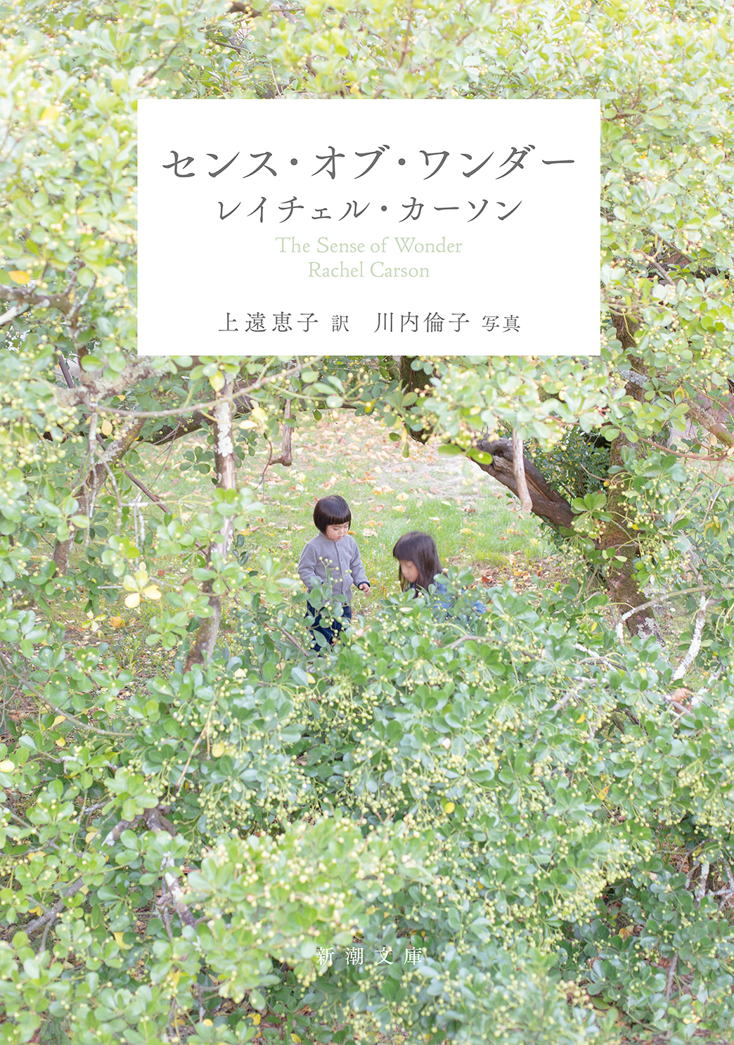 持続可能な社会を子どもたちに。環境問題の嚆矢となった『沈黙の春』の著者レイチェル・カーソンが遺した名作『センス・オブ・ワンダー』待望の文庫化のサブ画像1_『センス・オブ・ワンダー』（新潮文庫）