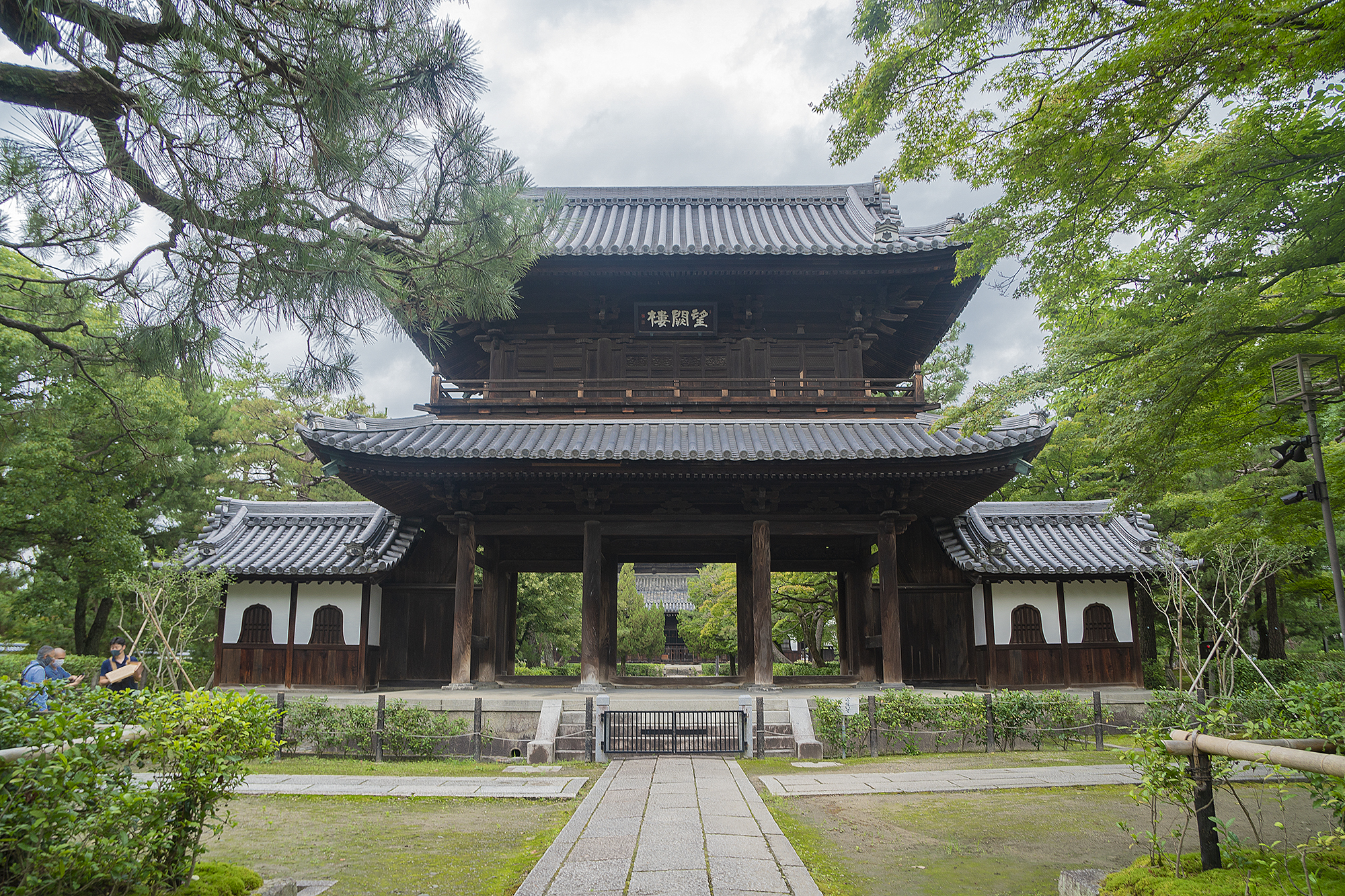 風神雷神をかたどったオチャノキ、800年ぶりに故郷の京都建仁寺へ還る。のサブ画像1_風神雷神図屏風のように佇む2本のオチャノキ。