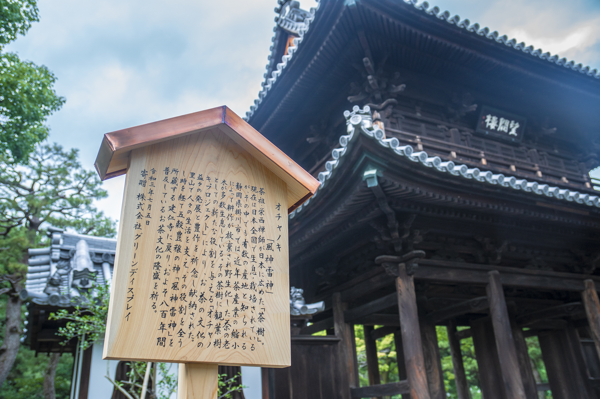 風神雷神をかたどったオチャノキ、800年ぶりに故郷の京都建仁寺へ還る。のサブ画像6_浅野住職に監修頂いた文章。