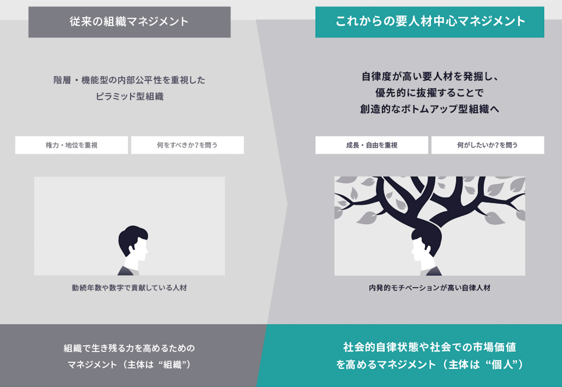 国内初！人材育成の優先順位を可視化する人材発掘サービス「KANAME」を提供開始のサブ画像2