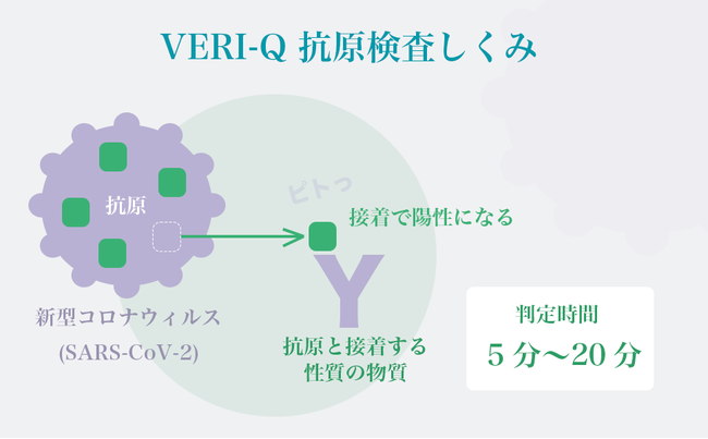 【新型コロナ抗原キット VERI-Q ベリキュー】法人様 導入事例推進キャンペーン 無料配布開始！Amazonでも買えます！最短５分で判定！安⼼の上場企業製！新しい経営リスク管理のカタチ！のサブ画像6