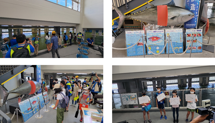 鳥取の子供たちが地元名産のクロマグロについて学ぶ「とっとり名産探し隊in境港」を開催！のサブ画像3