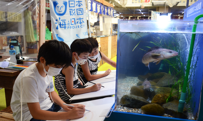 函館朝市ミニ水族館で【お魚お絵かき教室～海と日本プロジェクト～】を開催のサブ画像1