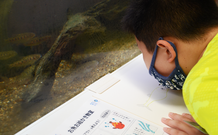 函館朝市ミニ水族館で【お魚お絵かき教室～海と日本プロジェクト～】を開催のサブ画像2