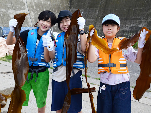 小学生12人が北海道の離島・奥尻島で海の学び／2021年8月5日～6日開催　奥尻島ホソメコンブ調査隊～海と日本プロジェクト～のサブ画像2