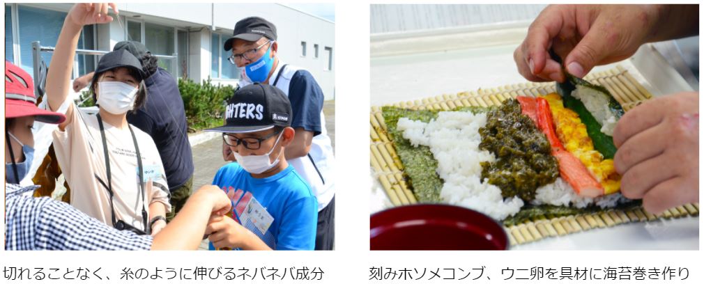 小学生12人が北海道の離島・奥尻島で海の学び／2021年8月5日～6日開催　奥尻島ホソメコンブ調査隊～海と日本プロジェクト～のサブ画像5