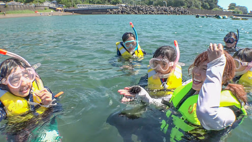 徳島の海にぼくたちができることとは。「よみがえれ！ぼくたちのアオサノリ」を開催しました！のサブ画像5