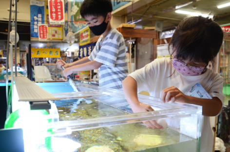 小学生が魚のお世話を通じて海を学ぶ【水族館飼育員体験～海と日本プロジェクト～】を開催のサブ画像2