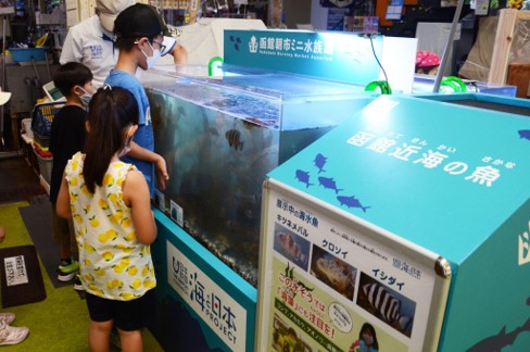 小学生が魚のお世話を通じて海を学ぶ【水族館飼育員体験～海と日本プロジェクト～】を開催のサブ画像4