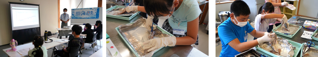 珠洲の子どもたちが「海のヒミツ調査隊」を結成   スルメイカの体のヒミツは地球温暖化問題への入り口だった！のサブ画像6