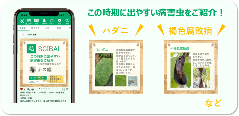 家庭庭菜園支援アプリSCIBAI(サイバイ)で"今の時期によく出る病害虫"の紹介を開始のメイン画像