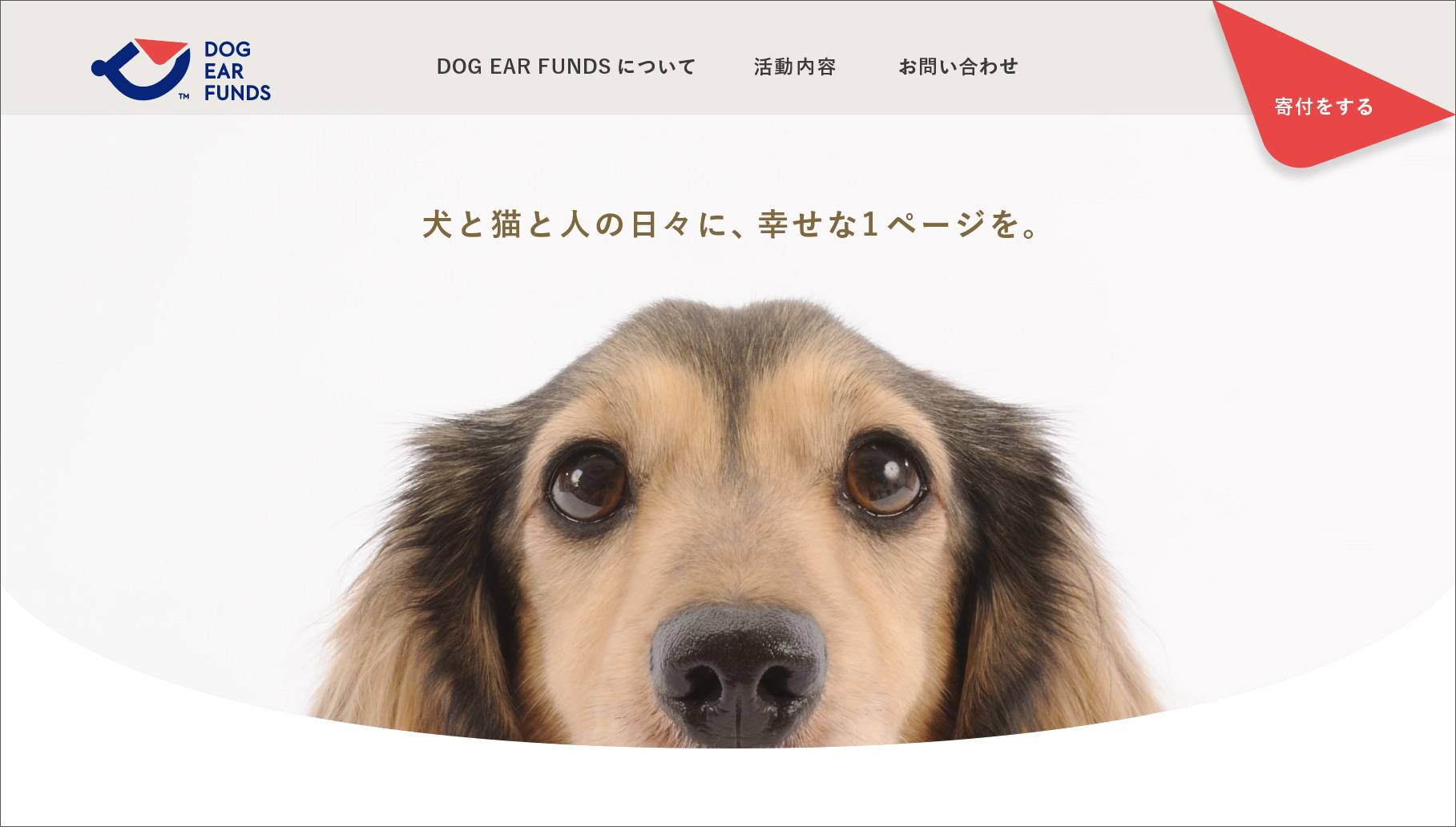 NPO法人「DOG EAR FUNDS」と犬猫の保護団体「宮古島 SAVE THE ANIMALS」との協働により保護犬・猫に立ちはだかる“離島の壁”を解決する「NO BORDERSプロジェクト」始動のサブ画像9