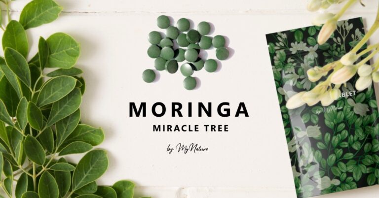 【海外セレブも注目のスーパーフード】環境にも人にも栄養を与える奇跡の木「モリンガ」を使用したタブレットが、販売予定価格の最大45％OFFでクラファン実施中！のメイン画像