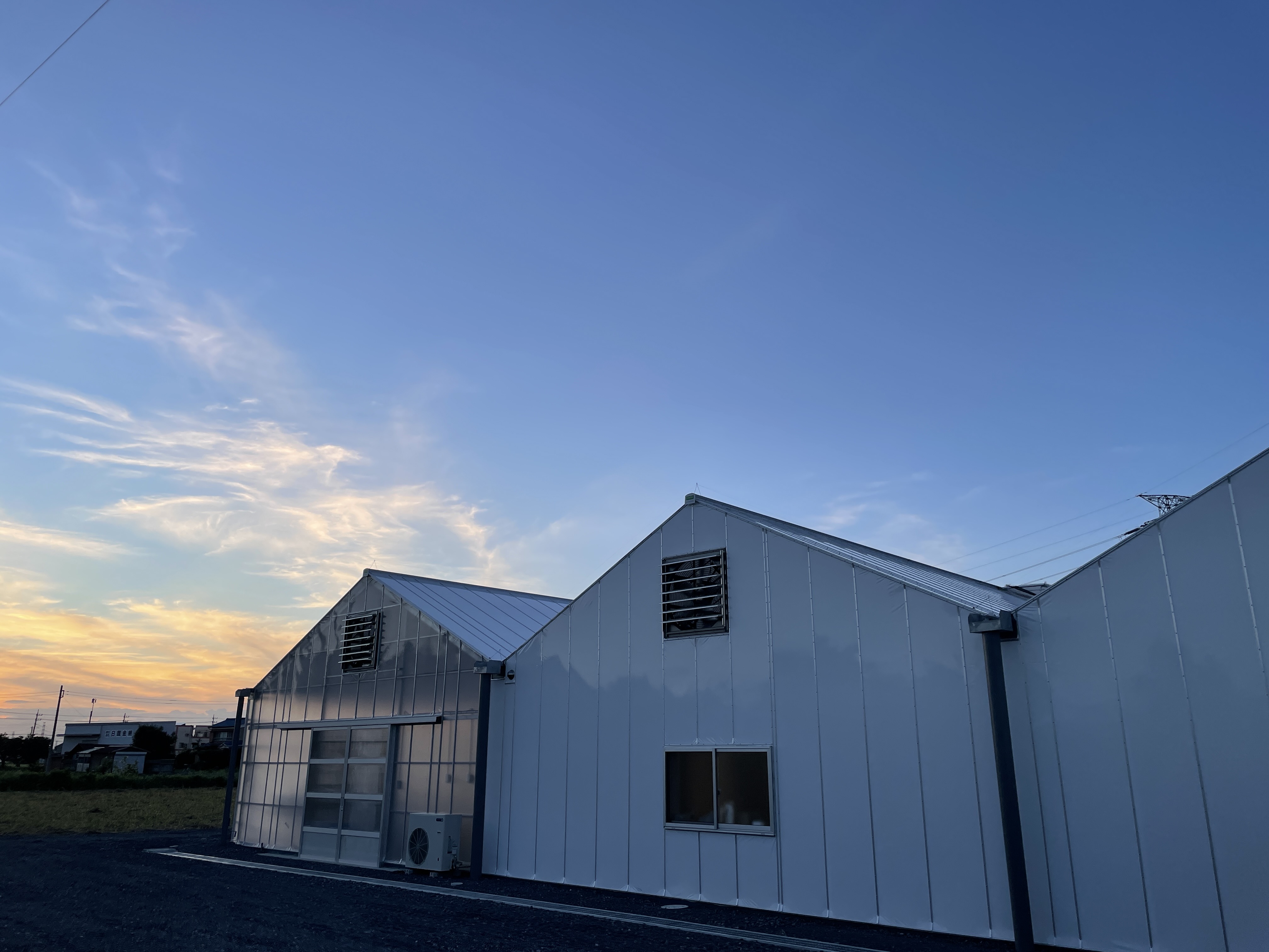 埼玉県熊谷市で、「夏に強い」最新の大型水耕栽培プラント稼働！ベビーリーフなどを主に生産／株式会社グリングリンのサブ画像10