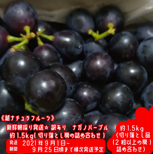 【SDGs週間】生産者応援・食品ロス削減を目的に、規格外・売り先がない・賞味期限が近い食材をオンラインで購入できる「訳ありポケマルシェ」を開催中　すでに複数の食材が完売するなど、反響も続々のサブ画像4