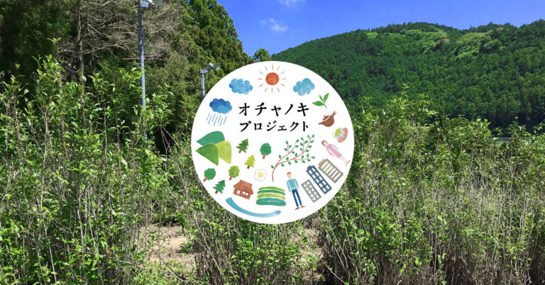 伸びきったオチャノキをたくさんの人に届けたい！そして休耕地をまっさらにしたい！日本全国に眠っている植物や休耕地を再活用するパートナーを募集のメイン画像