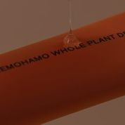オタネニンジンエキスとタケノコ皮エキスが贅沢なうるおいとハリ・キメを叶える“植物まるごと” 保水美容液「NEMOHAMO DEEP GEL」9 月22 日（水）新発売のサブ画像2