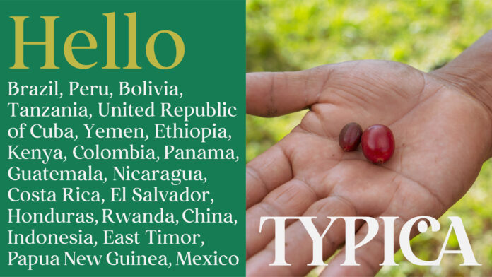 サービス提供範囲を世界59ヶ国に拡充。コーヒー生豆のダイレクトトレードを推進する「TYPICA（ティピカ）」の新たな挑戦。のメイン画像