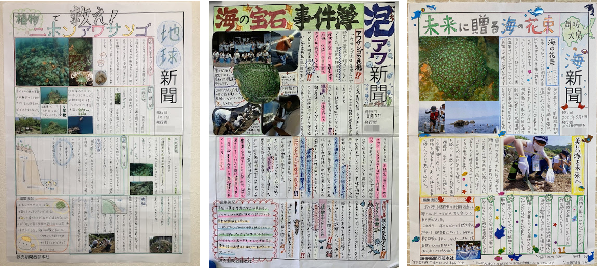 山口の海でニホンアワサンゴの謎に迫り、小学生が海の未来を考えるイベント「海と日本プロジェクト ぶち海体験隊Ⅱ　海の異変を調査せよ！」全3回を実施しました！のサブ画像4