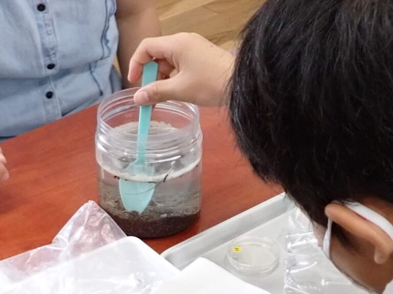 大田区立清水窪小学校で「海と日本PROJECT 海洋プラスチックごみについて考えよう！」を開催しました！のメイン画像