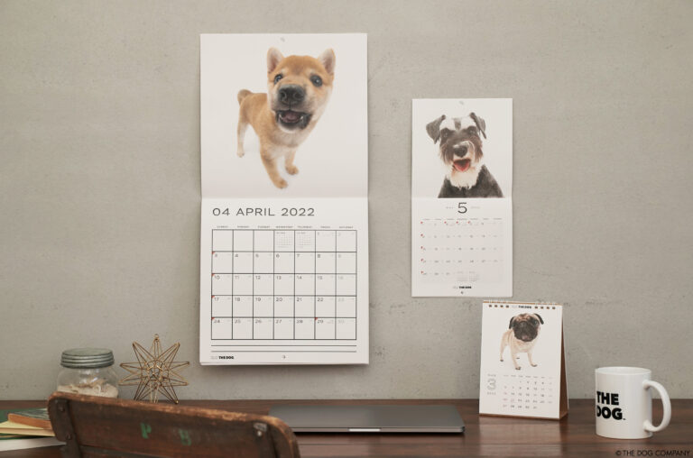 20 年の歴史を持つロングセラー商品 THE DOG カレンダーが2022 年版からサスティナブルに生まれ変わりましたのメイン画像