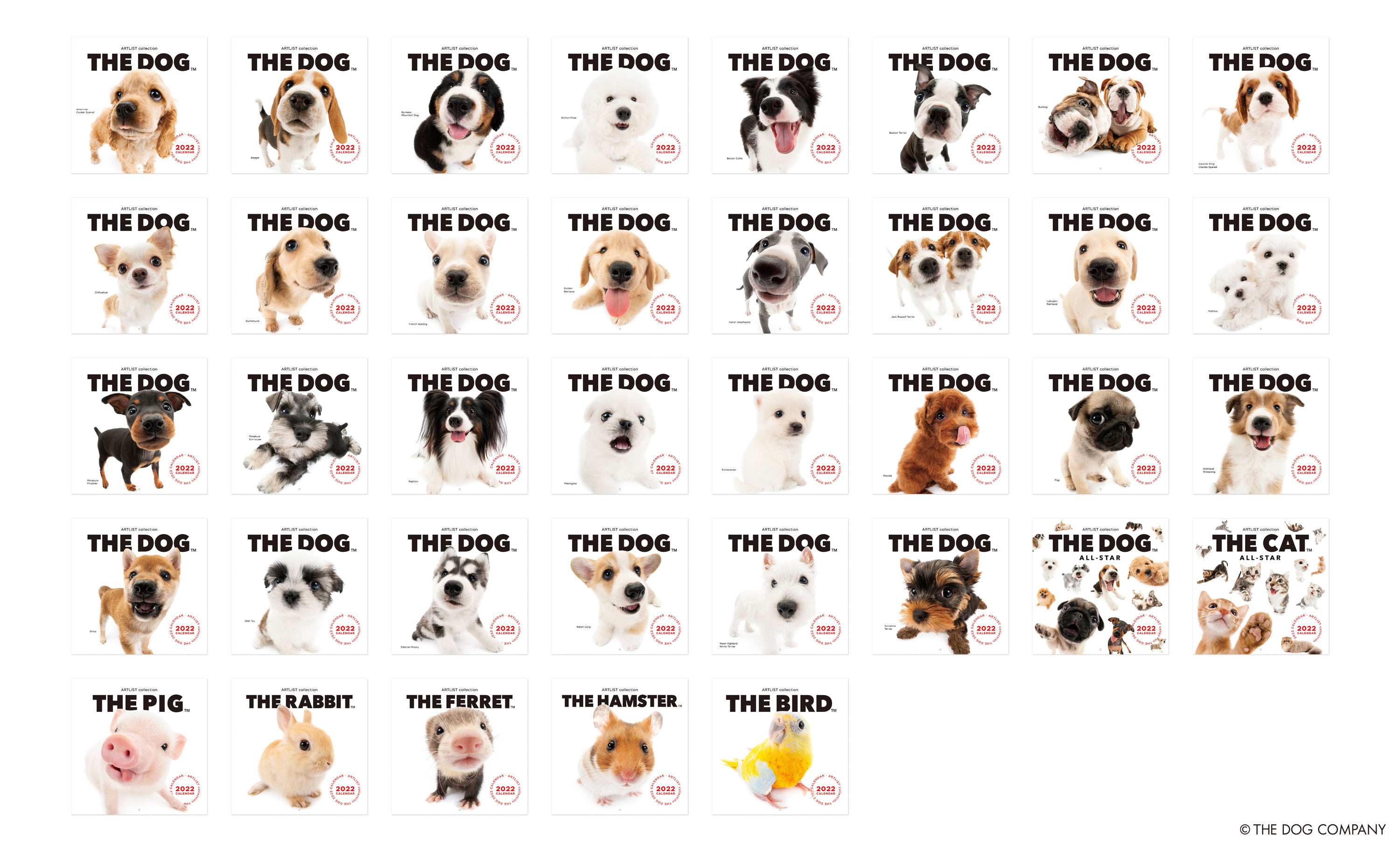 20 年の歴史を持つロングセラー商品 THE DOG カレンダーが2022 年版からサスティナブルに生まれ変わりましたのサブ画像12