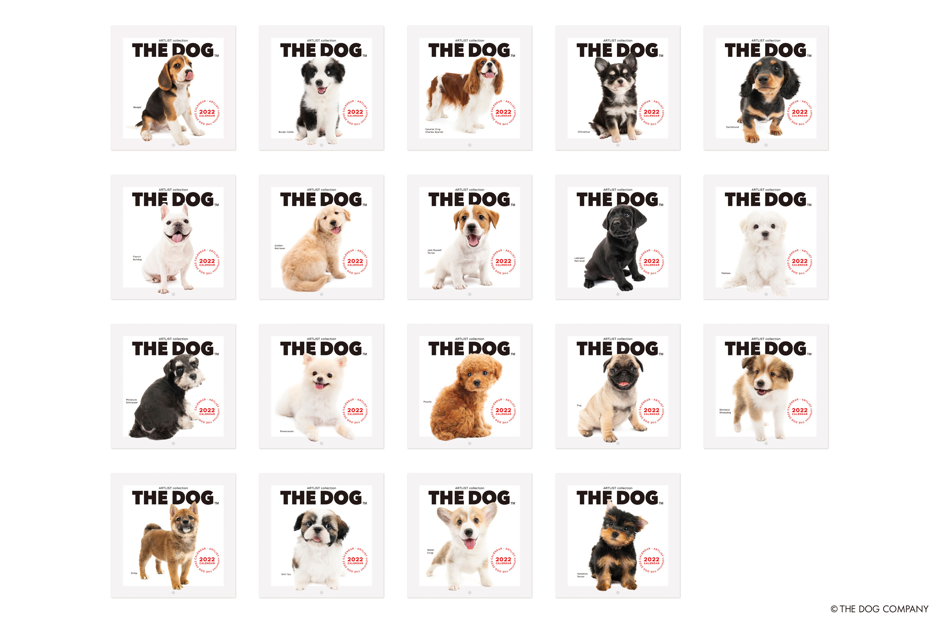 20 年の歴史を持つロングセラー商品 THE DOG カレンダーが2022 年版からサスティナブルに生まれ変わりましたのサブ画像13