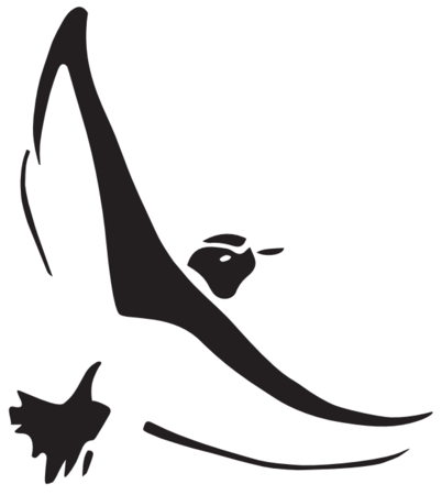 ニュージーランド発ナチュラルデイリーケアブランド「ecostore」から、NZで絶滅の危機に瀕する鳥のイラストが描かれた限定デザインのハンドウォッシュが登場！のサブ画像7