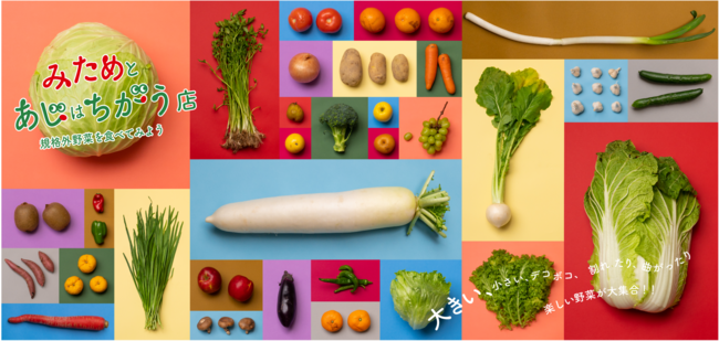 【ホテルJALシティ羽田 東京】規格外野菜の「もったいない」を美味しく「LOHAS MARCHE(ロハス マルシェ)」を開催のサブ画像4