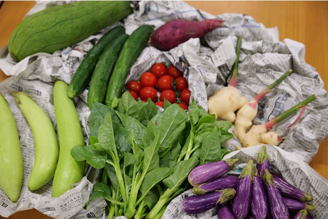 野菜定期便「食べチョクコンシェルジュ」でエコ包装が選択可能に。SDGs特集の商品ラインナップも拡充。のサブ画像2